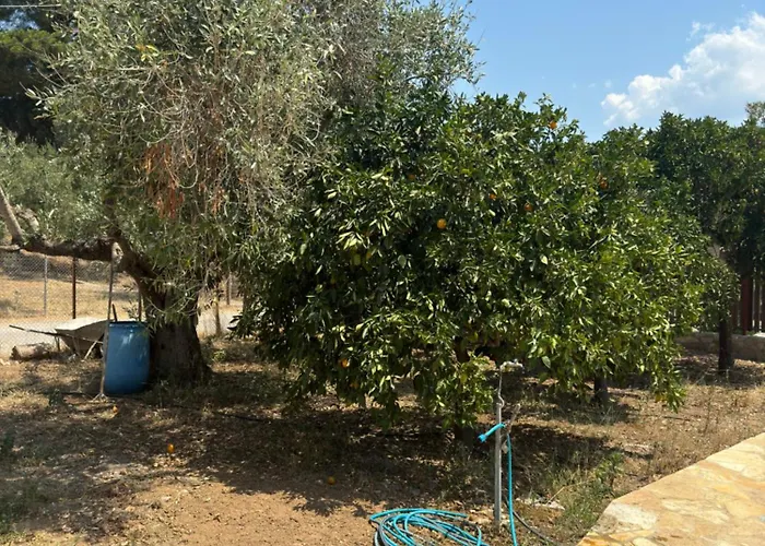 Margarita Cottage In Paralia Velikas